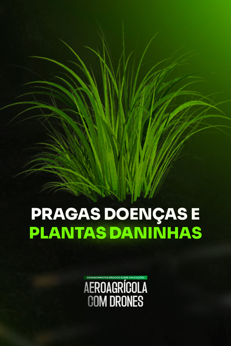 PRAGAS-DOENÇAS-E-PLANTAS-DANINHAS